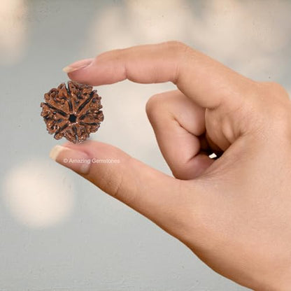 Amazing Gemstone Authentic 6 Mukhi Rudraksha Bead – Natural Nepali Rudraksha for Meditation, Prayer, Protection, Chakra Healing, and Spiritual Growth - color: 6 Mukhi