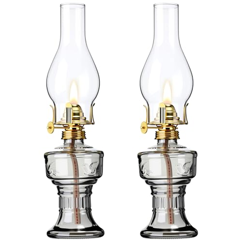 2 Pcs Oil Lamps for Indoor Use, Hurricane Kerosene Lamp, Grey - color: Gray