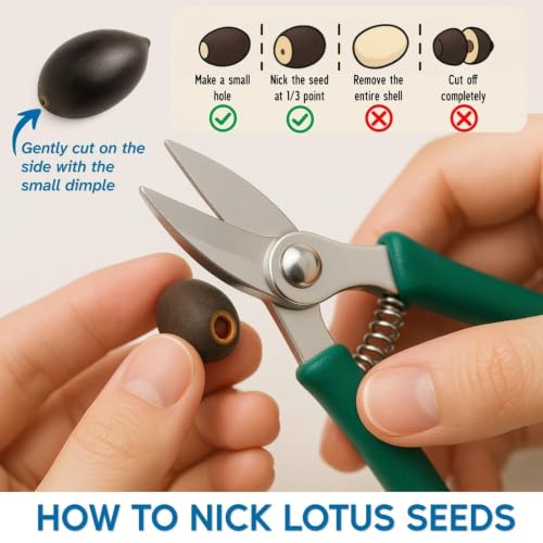 300pcs Lotus Seeds, 15 Unique Bonsai Bowl Varieties for Ponds & Gardens