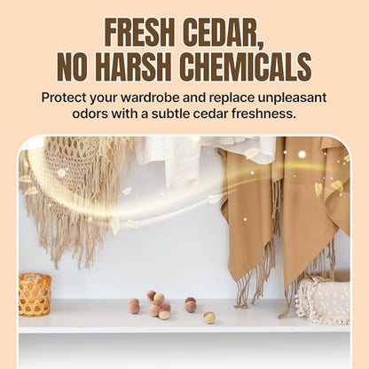 HOUNDSBAY 50 Cedar Balls for Clothes Storage - Aromatic Cedar Wood Balls