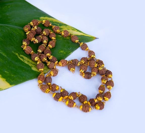 Wonder Care Authentic Rudraksh Mala-5face- Genuine Himalayan Rudraksha Seeds Religious Ornament Rosary Japa Mala Necklace Prayer Mala Healing Beads - color: 12mm-5pc