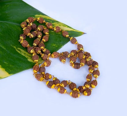 Wonder Care Authentic Rudraksh Mala-5face- Genuine Himalayan Rudraksha Seeds Religious Ornament Rosary Japa Mala Necklace Prayer Mala Healing Beads - color: 12mm-5pc