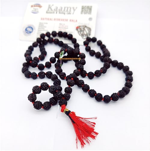 BRIJ HAAT Panch mukhi Black rudraksha mala 108+1 Beads for meditation Black