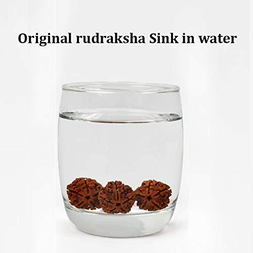 Wonder Care Authentic Rudraksh Mala-5face- Genuine Himalayan Rudraksha Seeds Religious Ornament Rosary Japa Mala Necklace Prayer Mala Healing Beads - color: 54+1 beads-5pc