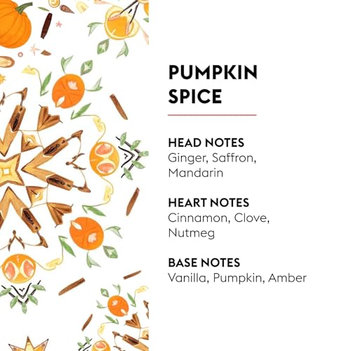 MAISON BERGER Lampe Berger Refill, 1 L, Pumpkin Spice - color: Pumpkin Spice