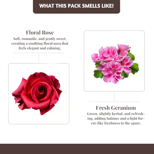 Folkulture Rose & Geranium Outdoor Incense Sticks with Holder -100 Stick - size: Pack of 100