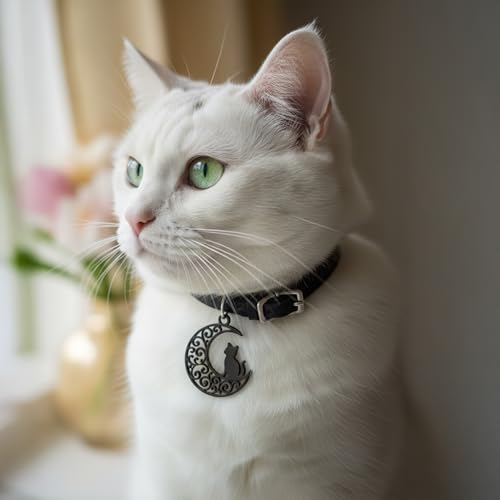 1" Stainless Steel Necklace Charms | Third Eye Vision | Peace Symbol | Finding Your Self | Yin & Yang | Moon Cat | Turtle Power | Flower of Life | | OM | Mystical Spiritual Protection, for Men & Women - style: Moon Cat Black
