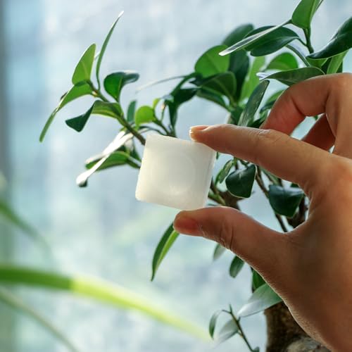 300Grams Natural Camphor Blocks – 64-Tablets Refined Pure Camphor Cubes for Indian Pooja Alcanfor Tablets Religious Purpose Kapoor for Pooja Odor Eliminator Incense Ideal Indian Ritual