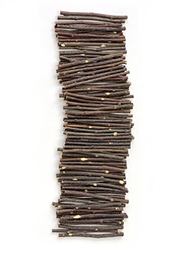 ECOVENIK - 100 psc - Small Wood Sticks for Crafts - 4 Inch Birch Wood Craft Sticks - Natural Twigs Sticks for Crafting, DIY School Projects, Card Making, Embellishments & Photo Props - size: pack of 100 psc (4 inch)