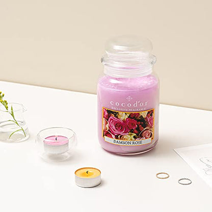 COCODOR Scented Tealight Candles/Black Cherry / 25 Pack / 4-5 Hour Extended Burn Time/Made in Italy, Cotton Wick, Scented Home Deco, Fragrance, Mother's Day - color: Black Cherry, size: Tealight 25P