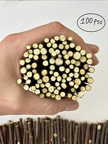 ECOVENIK - 100 psc - Small Wood Sticks for Crafts - 4 Inch Birch Wood Craft Sticks - Natural Twigs Sticks for Crafting, DIY School Projects, Card Making, Embellishments & Photo Props - size: pack of 100 psc (4 inch)