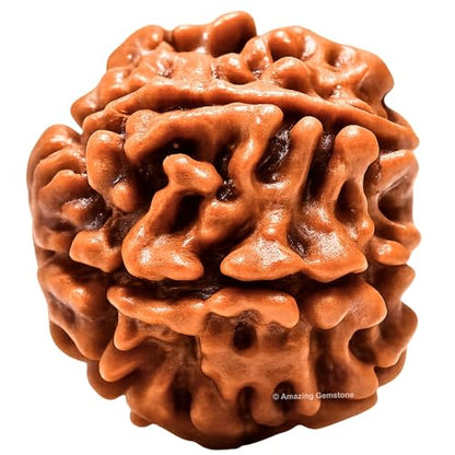 Amazing Gemstone Authentic 7 Mukhi Rudraksha Bead – Natural Nepali Rudraksha for Meditation, Prayer, Protection, Chakra Healing, and Spiritual Growth - color: 7 Mukhi