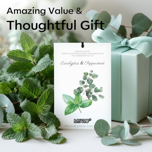 MYARO 12 Pack Eucalyptus Mint Scented Sachets, Closet Deodorizer Freshener - color: Eucalyptus Mint, size: 12 Packs