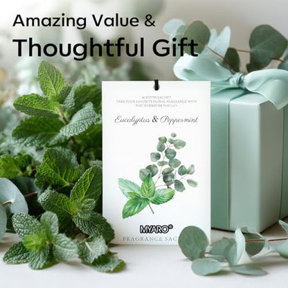 MYARO 12 Pack Eucalyptus Mint Scented Sachets, Closet Deodorizer Freshener - color: Eucalyptus Mint, size: 12 Packs