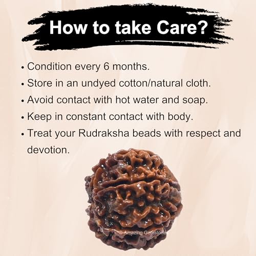 Amazing Gemstone Authentic 6 Mukhi Rudraksha Bead – Natural Nepali Rudraksha for Meditation, Prayer, Protection, Chakra Healing, and Spiritual Growth - color: 6 Mukhi