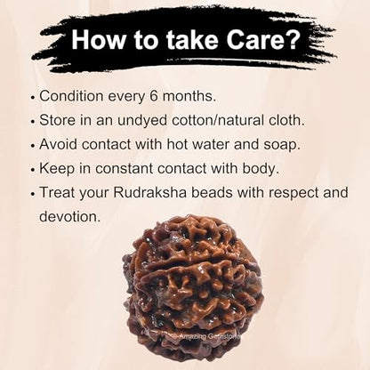 Amazing Gemstone Authentic 6 Mukhi Rudraksha Bead – Natural Nepali Rudraksha for Meditation, Prayer, Protection, Chakra Healing, and Spiritual Growth - color: 6 Mukhi