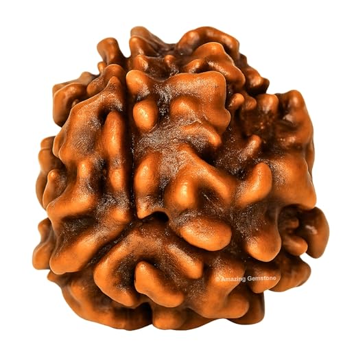 Amazing Gemstone Authentic 3 Mukhi Rudraksha Bead – Natural Nepali Rudraksha for Meditation, Prayer, Protection, Chakra Healing, and Spiritual Growth - color: 3 Mukhi