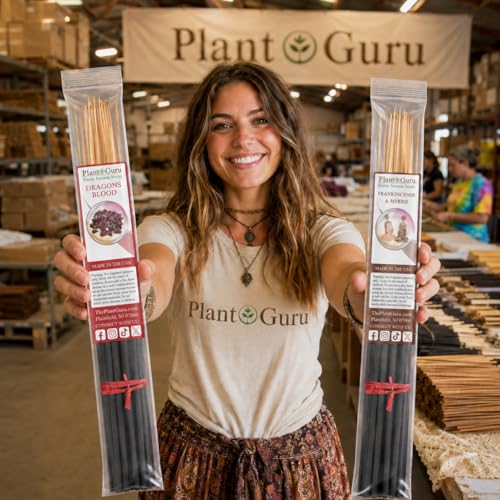 Jasmine Exotic Incense Sticks Jumbo 19 Inch Long - Bulk 1 Bundle 27 to 30 Sticks - Natural 19" Extra Large with A Smooth Aroma that Burns for 3 to 4 Hours Each.