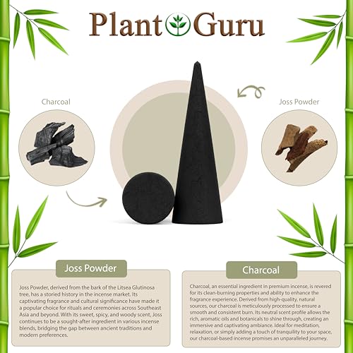100 Unscented Charcoal Incense Cones 2" TOPFLOW - 100% Natural Blanks - Great for DIY Aromatherapy Incense Making, Burner and Holder