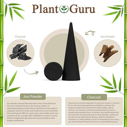 100 Unscented Charcoal Incense Cones 2" TOPFLOW - 100% Natural Blanks - Great for DIY Aromatherapy Incense Making, Burner and Holder