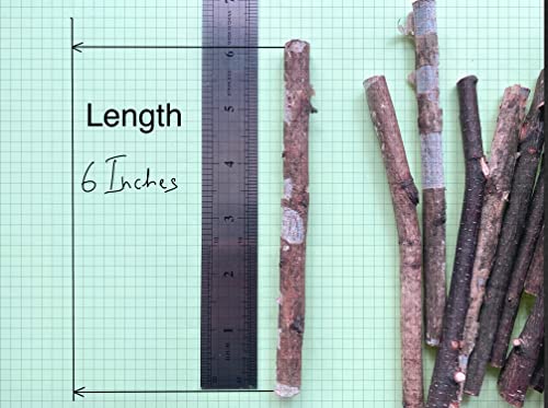 ECOVENIK - 200 g, Wood Sticks for Crafts - 6 Inch Birch Wood Craft Sticks - Natural Twigs Sticks for Crafting, DIY School Projects, Card Making, Embellishments & Photo Props (200 g) - size: pack of 200 grams