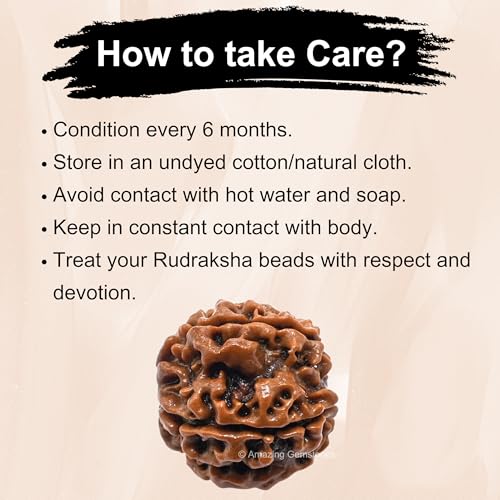 Amazing Gemstone Authentic 5 Mukhi Rudraksha Bead – Natural Nepali Rudraksha for Meditation, Prayer, Protection, Chakra Healing, and Spiritual Growth - color: 5 Mukhi