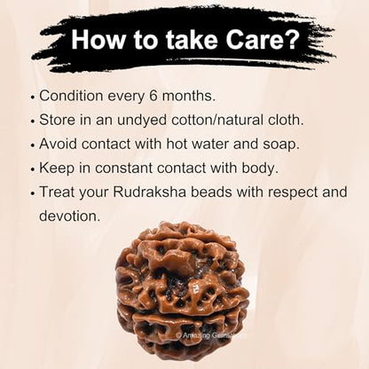 Amazing Gemstone Authentic 5 Mukhi Rudraksha Bead – Natural Nepali Rudraksha for Meditation, Prayer, Protection, Chakra Healing, and Spiritual Growth - color: 5 Mukhi