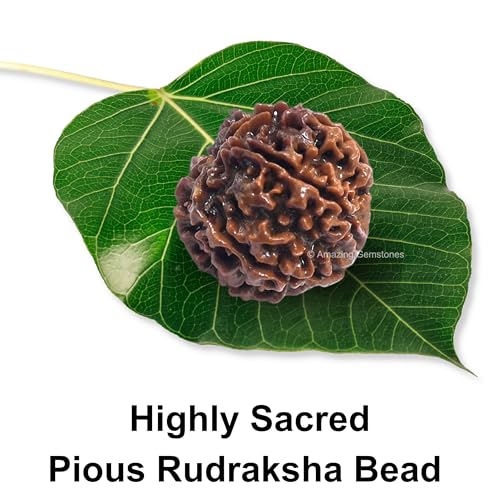 Amazing Gemstone Authentic 6 Mukhi Rudraksha Bead – Natural Nepali Rudraksha for Meditation, Prayer, Protection, Chakra Healing, and Spiritual Growth - color: 6 Mukhi