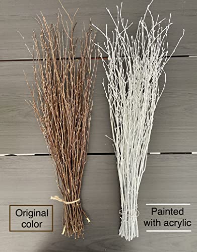 ECOVENIK 25 psc - Branches - 73 cm, Natural Birch Twigs, Pack of 20-25 Stems, Long for Floor vases, (White-Grey ) - size: 25 psc - white grey