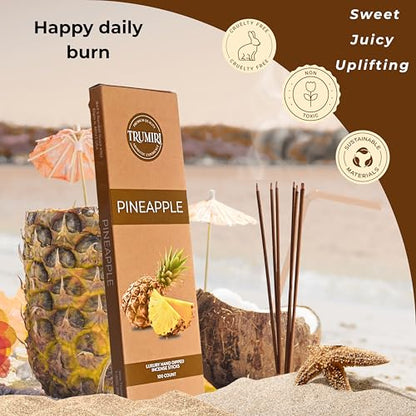 Pineapple Incense Sticks - Pack of 100 Insence-Sticks - Inciensos Aromaticos para La Casa - Natural Non Toxic Inscents - Scented Insense Incents Incence - color: Pineapple
