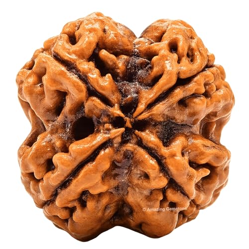 Amazing Gemstone Authentic 4 Mukhi Rudraksha Bead – Natural Nepali Rudraksha for Meditation, Prayer, Protection, Chakra Healing, and Spiritual Growth - color: 4 Mukhi