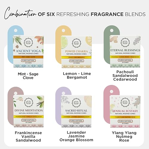 Raajsee Natural Incense Cones,6 Pack Mixed Scents Gift Pack 15 pc Each (90 Total), Insense Cones Variety Pack, 100% Organic Non Toxic Natural - Hand Rolled Free from Chemicals (Pack 3) - color: Pack 3