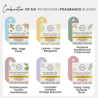 Raajsee Natural Incense Cones,6 Pack Mixed Scents Gift Pack 15 pc Each (90 Total), Insense Cones Variety Pack, 100% Organic Non Toxic Natural - Hand Rolled Free from Chemicals (Pack 3) - color: Pack 3