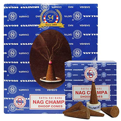 Nag Champa Incense Cones and Cone Incense Burner Bundle Insence Insense Satya Incense - color: Nag Champa - 12
