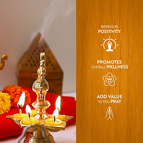 HEM Aradhana Pure Cow Ghee Diya with Batti – Pack of 100 | Ready-to-Use Wax-Free Ghee Wicks for Puja, Aarti & Festivals | 30-Min Burn Time | Pooja Essentials for Home, Temple & Rituals