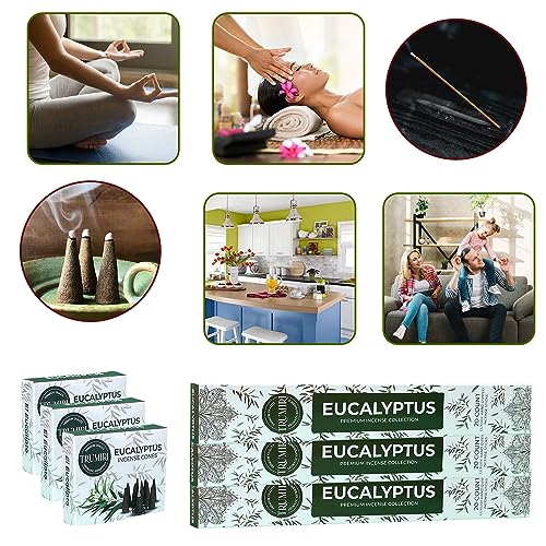 Eucalyptus Incense Sticks & Incense Cones Combo Pack - 60 Insence-Sticks + 30 Insence Cones - Inscense - Incense Cones Scented - Insents - color: Eucalyptus