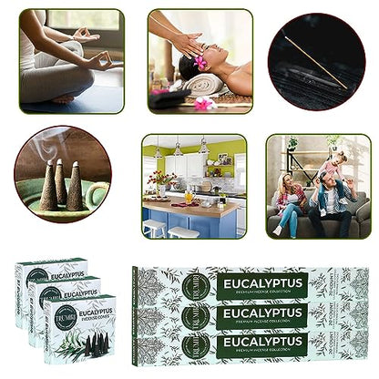 Eucalyptus Incense Sticks & Incense Cones Combo Pack - 60 Insence-Sticks + 30 Insence Cones - Inscense - Incense Cones Scented - Insents - color: Eucalyptus