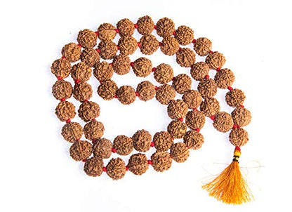 Wonder Care Authentic Rudraksh Mala-5face- Genuine Himalayan Rudraksha Seeds Religious Ornament Rosary Japa Mala Necklace Prayer Mala Healing Beads - color: 54+1 beads-5pc