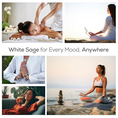 Satya Nagchampa White Sage Incense Sticks, Satya Bng (Bangalore) Insenses 15gmx3 Pack (45 GMS) with Raajsee Incense Holder Bundle, Satya Nagchampa Natural Incense - color: White Sage