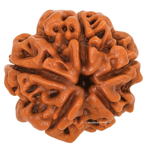 Amazing Gemstone Authentic 5 Mukhi Rudraksha Bead – Natural Nepali Rudraksha for Meditation, Prayer, Protection, Chakra Healing, and Spiritual Growth - color: 5 Mukhi
