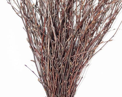 ECOVENIK - 50 psc. Birch Twigs – 100% Natural Decorative Branches for Vases, Centerpieces & DIY Crafts – Birch Sticks for Decorating (16-18 Inch) - size: 50 psc - brown