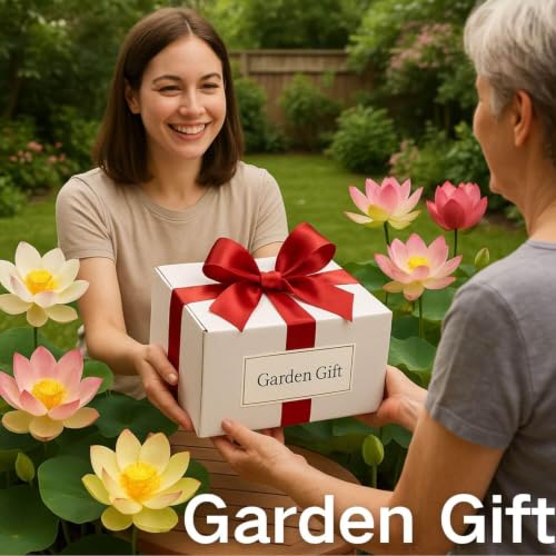 300pcs Lotus Seeds, 15 Unique Bonsai Bowl Varieties for Ponds & Gardens