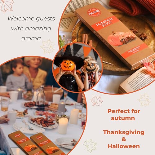 Pumpkin Spice Incense Sticks - Pack of 100 Inscents-Sticks - Inciensos Aromaticos Made with Natural Spices - Scented Insence Non Toxic Insense Incents - color: Pumpkin Spice