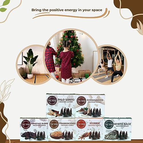 Trumiri Woody Incense Cones - Variety Pack - Total 60 Cone Incense (6 Scents x 10 Conos) - White Sage, Palo Santo, Dragons Blood, Sandalwood - Inscents-Cones Scented - Insense Cones - Incent Cone - color: Woody
