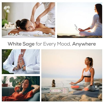 Satya Nag Champa White Sage Incense Sticks, SatyaBng (Bangalore) Insenses 15gmx12 Pack with Raajsee Insence Holder Bundle, Nag Champa Natural Incense - color: White Sage