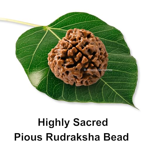 Amazing Gemstone Authentic 4 Mukhi Rudraksha Bead – Natural Nepali Rudraksha for Meditation, Prayer, Protection, Chakra Healing, and Spiritual Growth - color: 4 Mukhi