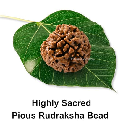 Amazing Gemstone Authentic 4 Mukhi Rudraksha Bead – Natural Nepali Rudraksha for Meditation, Prayer, Protection, Chakra Healing, and Spiritual Growth - color: 4 Mukhi