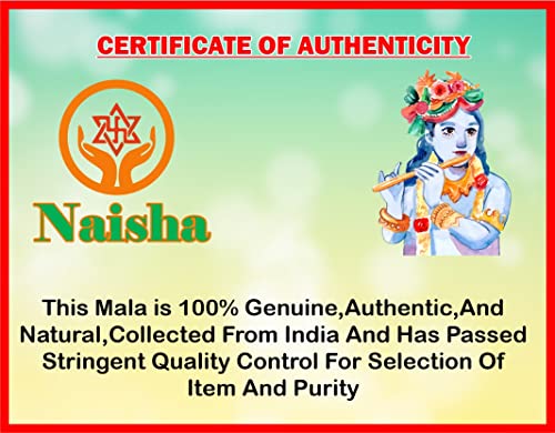 Naisha Tulsi Holy Basil Japa Mala 108+1 Beads & Tulsi Kanthi Mala Tulsi Ki Mala 2 Round Neck Mala Original for Daily Mantra Jaap, (Pack of 2)