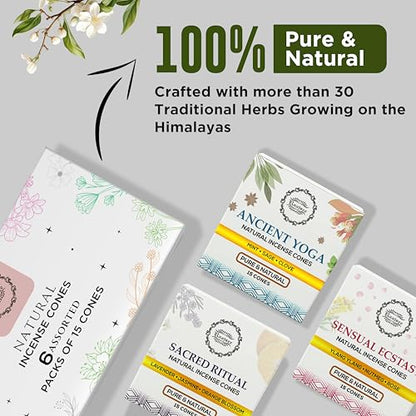 Raajsee Natural Incense Cones,6 Pack Mixed Scents Gift Pack 15 pc Each (90 Total), Insense Cones Variety Pack, 100% Organic Non Toxic Natural - Hand Rolled Free from Chemicals (Pack 3) - color: Pack 3