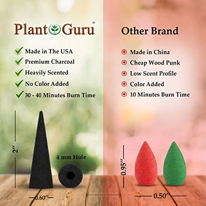 Pumpkin Spice Charcoal Incense Cones 2" BACKFLOW - 60 Pack - Natural Scented Cones Handmade Hand Dipped